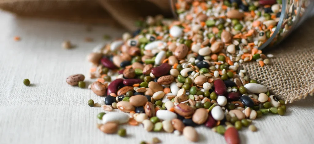 Variété et qualité, pilier d'Alilenat pour une micronutrition efficace à Aix-les-Bains.