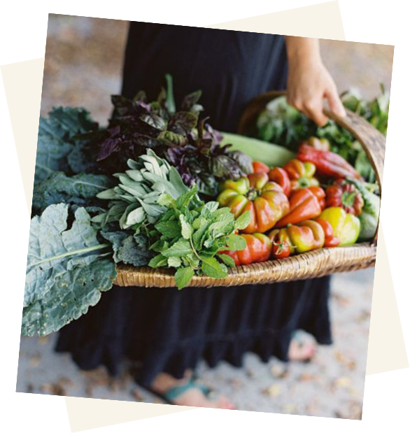 Nutrition sur-mesure adaptée à votre équilibre grâce à Alilenat en Savoie.
